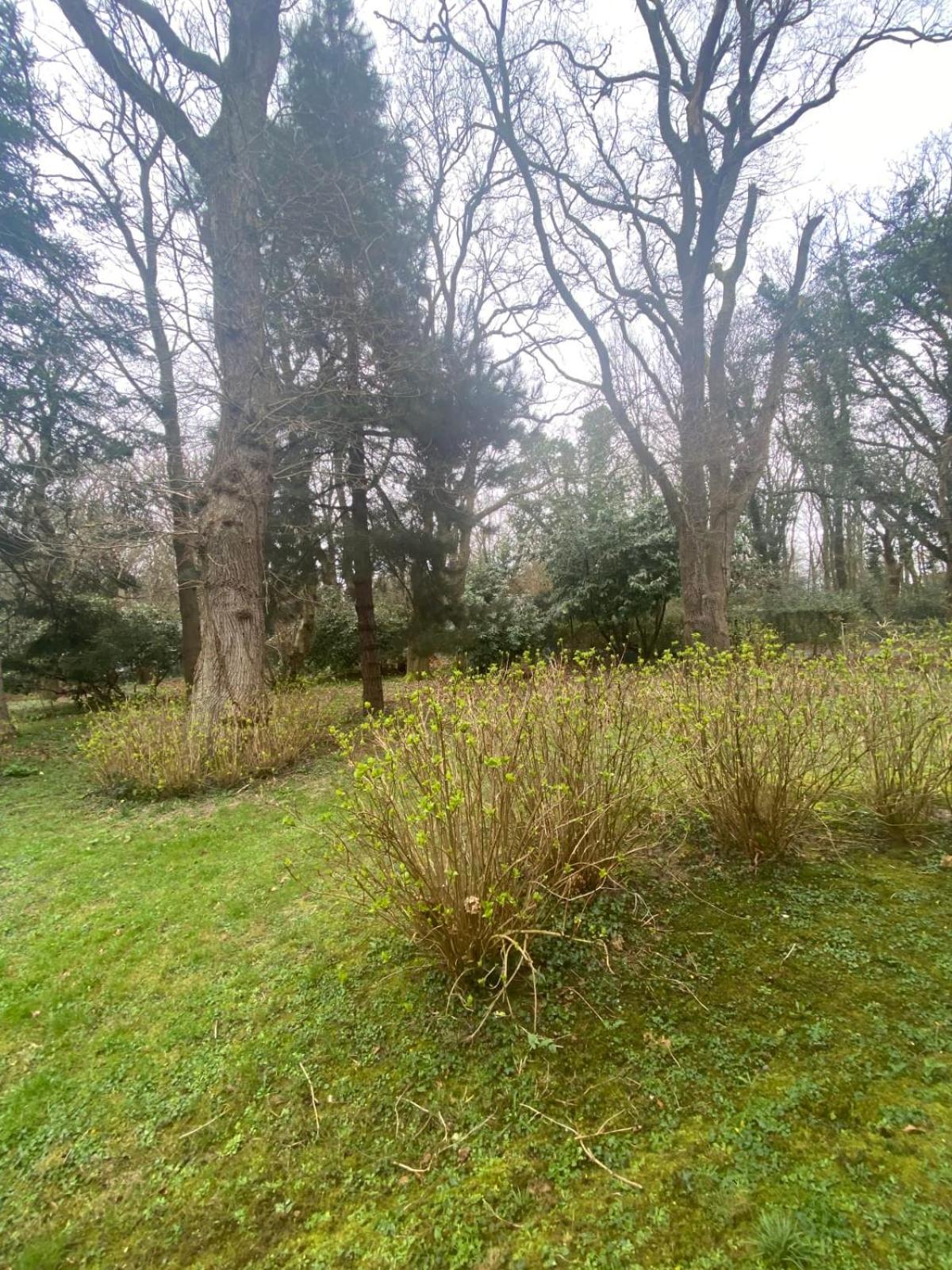 Bg32 - Mer & Bois De Cise Maison Individuelle Avec Grand Jardin 얼트 외부 사진